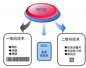 标领信息科技 固定资产管理系统成功案例，助力广州企业数字化转型